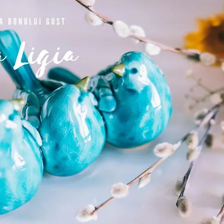 منزل للإقامة Casa Ligia تيشيرغيول